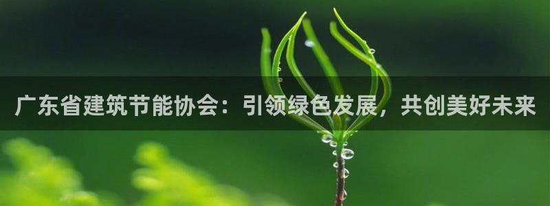 e尊国际网址：广东省建筑节能协会：引领绿色发展，共创美好未来