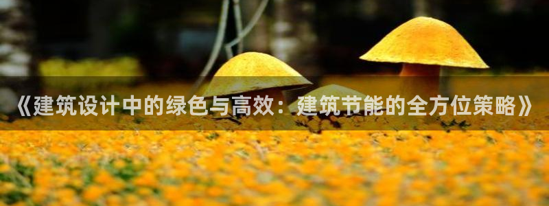谁知道e尊国际的网址：《建筑设计中的绿色与高效：建筑节能的全方位策略》