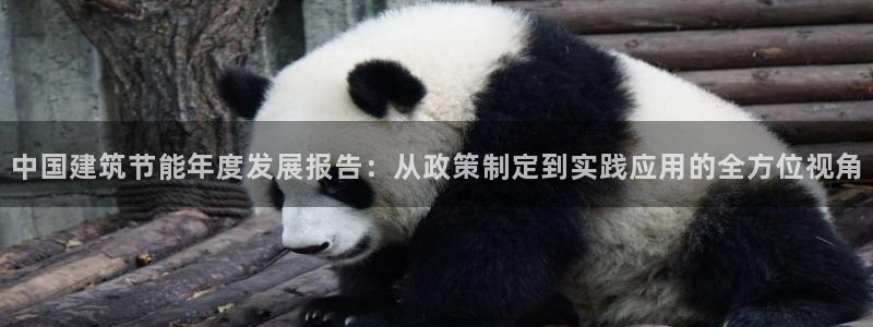 e尊国际客户端下载：中国建筑节能年度发展报告：从政策制定到实践应用的全方位视角