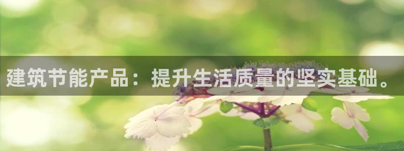 e尊国际娱乐官网下载：建筑节能产品：提升生活质量的坚实基础。