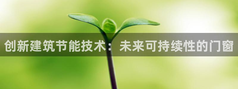 e尊国际是个黑网：创新建筑节能技术：未来可持续性的门窗
