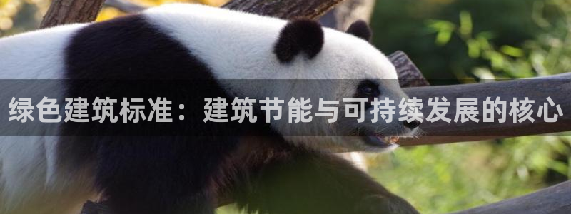 e尊国际是干什么的：绿色建筑标准：建筑节能与可持续发展的核心