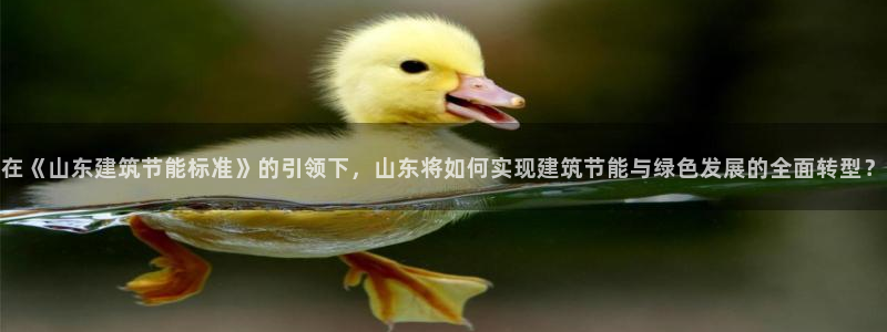 e尊国际地址：在《山东建筑节能标准》的引领下，山东将如何实现建筑节能与绿色发展的全面转型？
