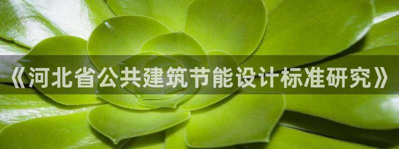 e尊平台：《河北省公共建筑节能设计标准研究》
