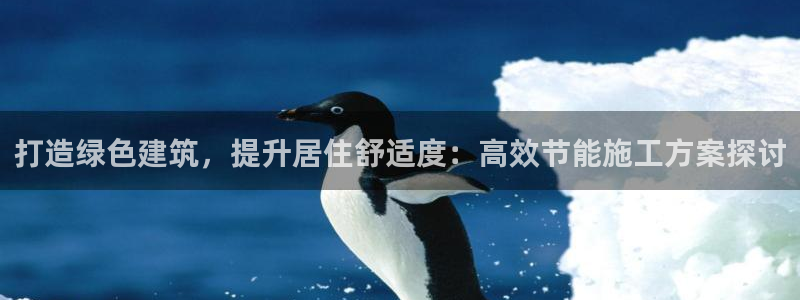 e尊国际是干什么的：打造绿色建筑，提升居住舒适度：高效节能施工方案探讨