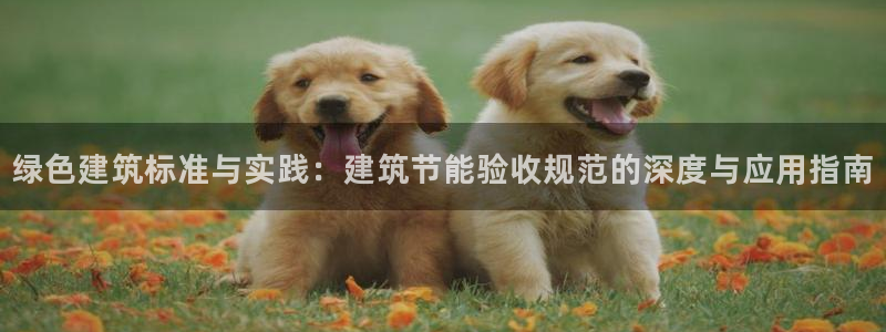 e尊国际可靠吗：绿色建筑标准与实践：建筑节能验收规范的深度与应用指南