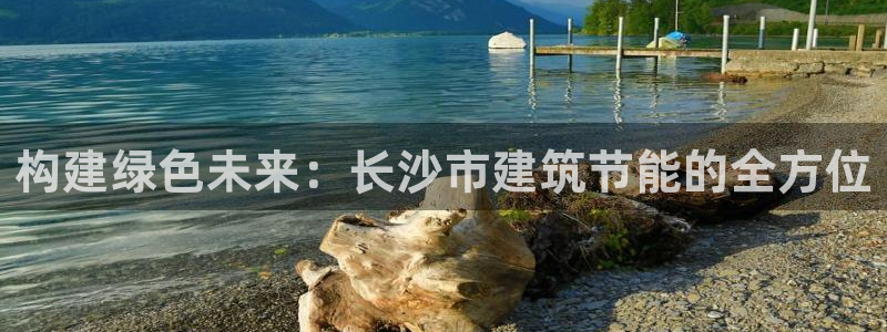 e尊国际是干什么的：构建绿色未来：长沙市建筑节能的全方位