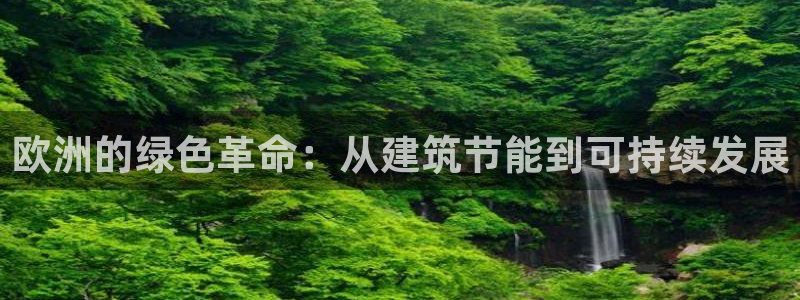 E尊国际
