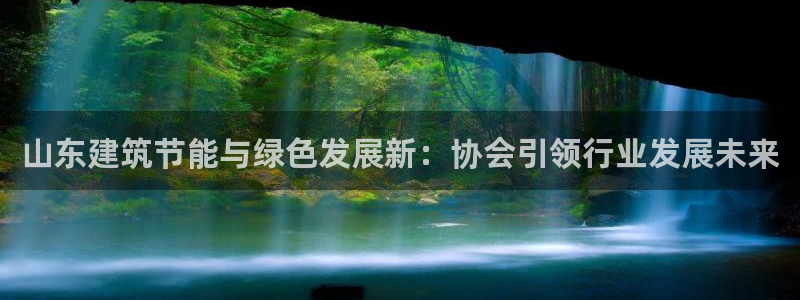 e尊国际平台：山东建筑节能与绿色发展新：协会引领行业发展未来