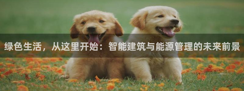 e尊国际官网：绿色生活，从这里开始：智能建筑与能源管理的未来前景