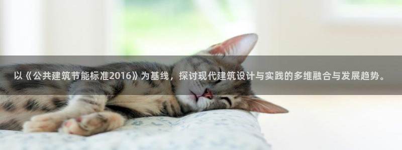 e尊国际-可可计划：以《公共建筑节能标准2016》为基线，探讨现代建筑设计与实践的多维融合与发展趋势。
