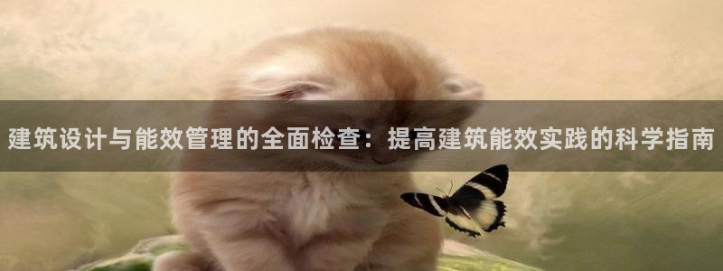 e尊国际地址：建筑设计与能效管理的全面检查：提高建筑能效实践的科学指南