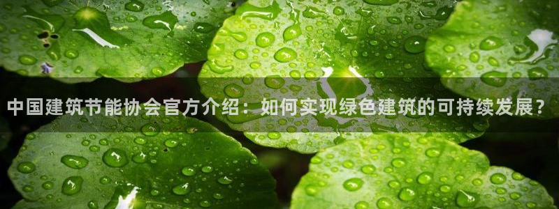 e尊国际的手机登录网站：中国建筑节能协会官方介绍：如何实现绿色建筑的可持续发展？