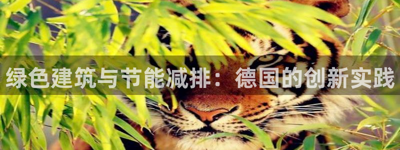 尊亿游戏国际官网：绿色建筑与节能减排：德国的创新实践