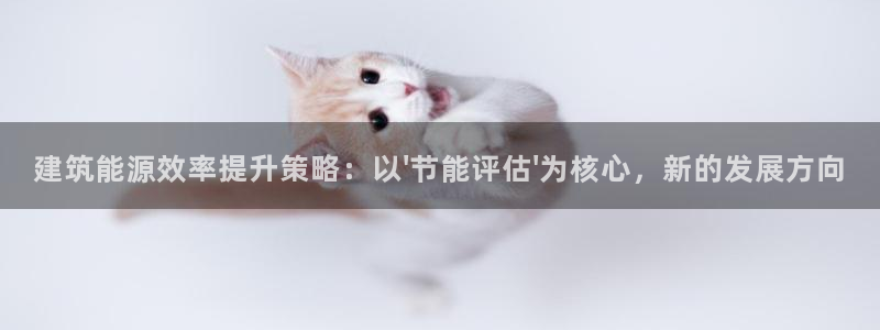 e尊国际可靠吗：建筑能源效率提升策略：以\'节能评估\'为核心，新的发展方向