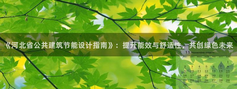 谁知道e尊国际的网址：《河北省公共建筑节能设计指南》：提升能效与舒适性，共创绿色未来