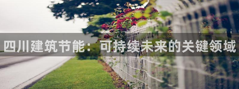 E尊国际：四川建筑节能：可持续未来的关键领域