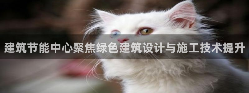 尊亿娱乐国际官网：建筑节能中心聚焦绿色建筑设计与施工技术提升
