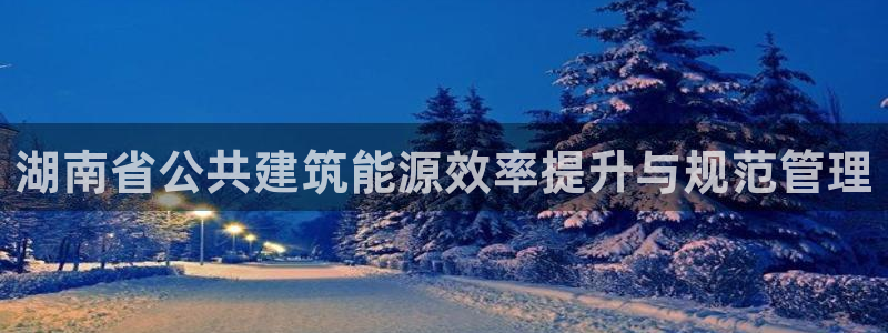e尊国际客服：湖南省公共建筑能源效率提升与规范管理