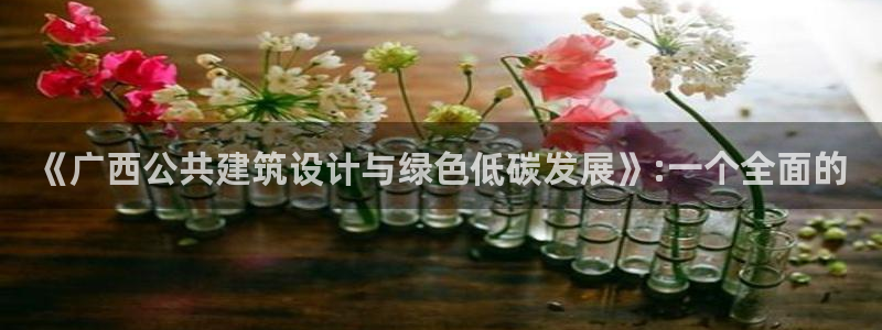 e尊国际平台：《广西公共建筑设计与绿色低碳发展》:一个全面的