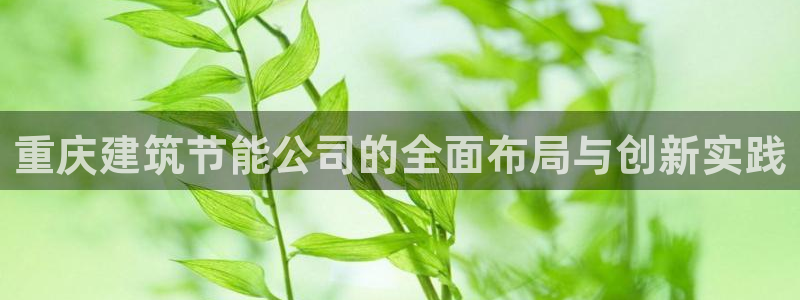 e尊国际官网·网址：重庆建筑节能公司的全面布局与创新实践