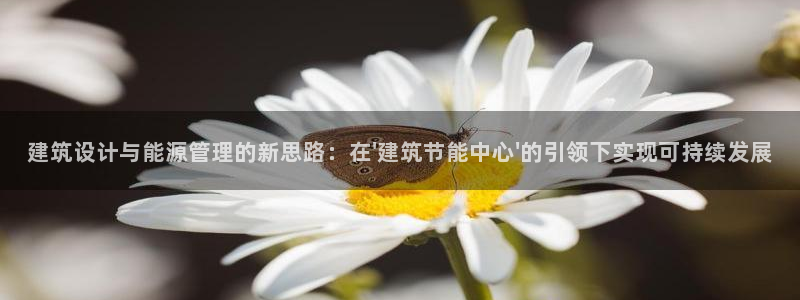 e尊体育：建筑设计与能源管理的新思路：在\'建筑节能中心\'的引领下实现可持续发展
