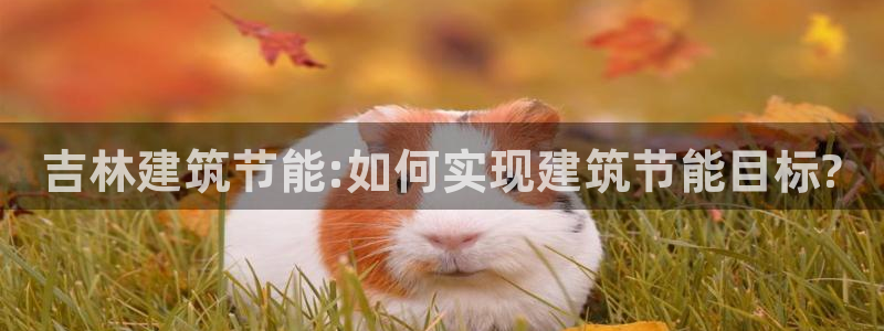 e尊国际是干什么的：吉林建筑节能:如何实现建筑节能目标?