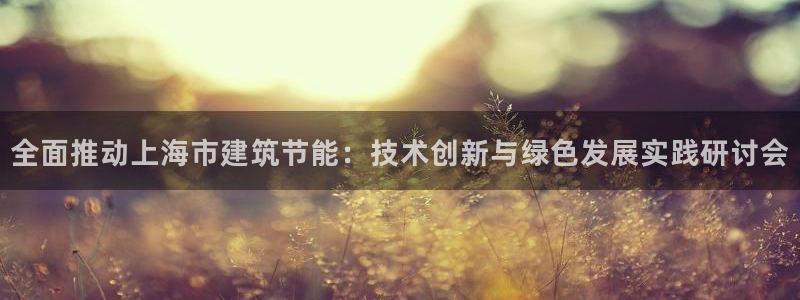 e尊国际官方网站：全面推动上海市建筑节能：技术创新与绿色发展实践研讨会
