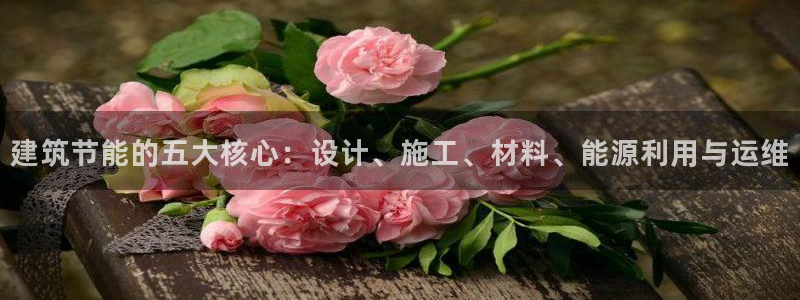 尊亿游戏国际官网：建筑节能的五大核心：设计、施工、材料、能源利用与运维