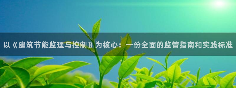 e尊国际可靠吗：以《建筑节能监理与控制》为核心：一份全面的监管指南和实践标准