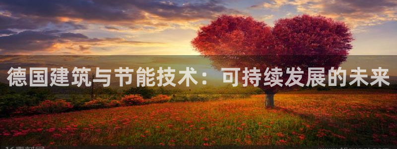 e尊国际app：德国建筑与节能技术：可持续发展的未来