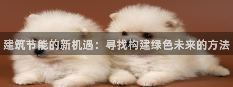 e尊国际-e尊国际官网：建筑节能的新机遇：寻找构建绿色未来的方法