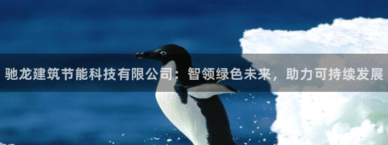 e尊国际地址：驰龙建筑节能科技有限公司：智领绿色未来，助力可持续发展