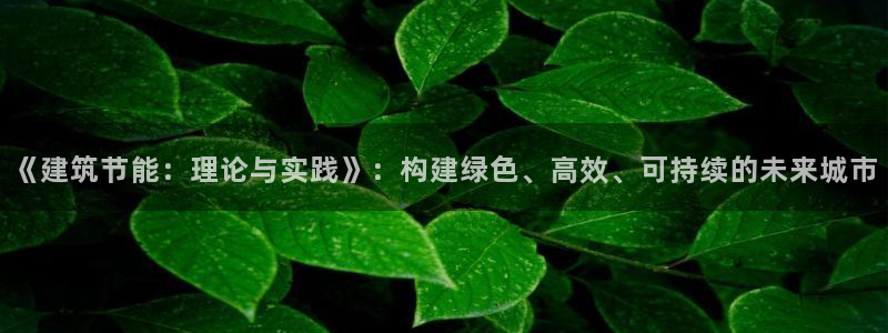 e尊国际娱乐官网下载：《建筑节能：理论与实践》：构建绿色、高效、可持续的未来城市