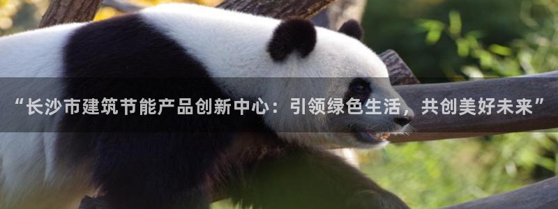 e尊国际平台：“长沙市建筑节能产品创新中心：引领绿色生活，共创美好未来”